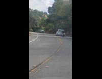 Man in bicycle tailgate car in front