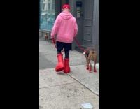 Collab winy - Man big red boots walk dog on street