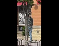 Guy Walks with Dog Standing on his Shoulders 