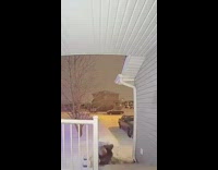 Front door security camera, husband slips down icy stairs on front porch