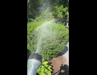 Collab BitchMP - Guy sprays water makes rainbow