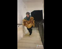 Green sweater guy carries golden retriever dog 