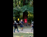 Collab WINY - Knights in armors fights at central park