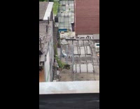 Woman combs hair on rooftop with cat