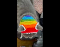 Rainbow knit hat for cat 