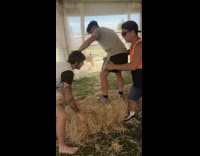 MUSIC Guy Tries to Lift Hay Bale and Stumbles