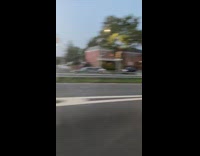 Collab winy - Green bird sits mirror red truck car