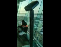 Guy tripod city view sky 