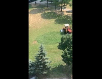 Truck grass mower mows grass at park
