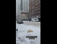 Guy vlogging on street in middle of snow storm
