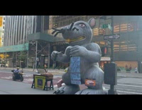 Asbestos kills sign on casket