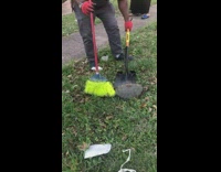 Guy trying to move a wild snapping turtle from lawn