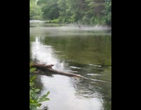 Fog spreads out on the river surface