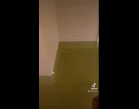 Basement flooded by hurricane rain water