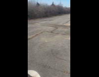 Man feeds albino deer 
