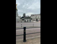 Guy graduation robe buckingham palace lion statue