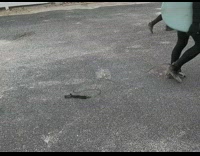 Guys carry surfboard leash drags on ground