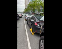 Line of Cars Get Ticketed with Yellow Boots 