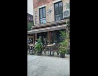 Brown dog sitting at restaurant table alone