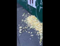 Woman sees piles of cheese scattered on street 