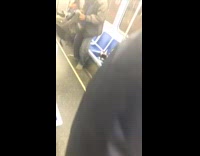 Black cat wears pink unicorn horn on its head on the subway, blue seats