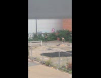 Woman black workout outfit tiktok dance video shoot empty lot