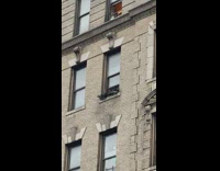 Pigeon birds sit windowsill black apartment window 