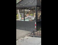 Lady tries to grab pigeon in patio 