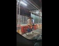 Guy brown dog on shoulders rides bicycle 