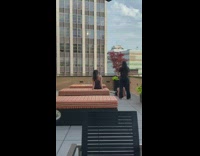 Black shirt girl pretends read rooftop pt. 2