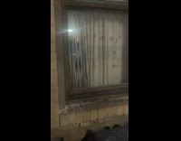 Collab WINY - A wild rat enters the apartment window curtain