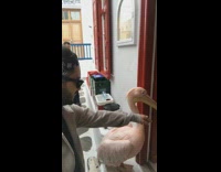 man pets pink pelican at restaurant 