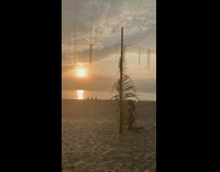 Woman in bikini kneels in front of the Palm Leaf