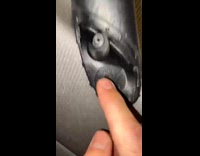 Car with joke words Honda PP Gripper