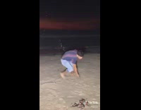 Collab BitchIG2 - Guys on beach sand pushing each other 