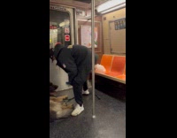 Collab Subway Creatures - Man brush dog leave pile of fur