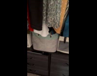 Cat meows like squeaky toy