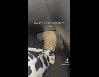 Driver switches between pedals 