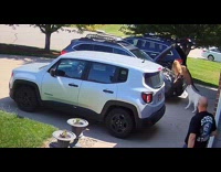 Three dogs jump on car open hood