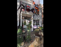 Animatronic and inflatable Halloween decorations at yard