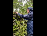 Collab Clips MPUGC - Man massaging moss on walk