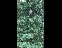 Woman feeds squirrel peanuts