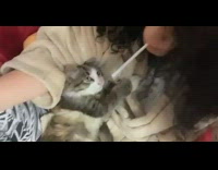 Cat hits cigarette out of mouth girl 