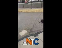 Toddler points at wig on ground 