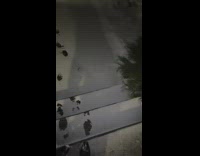 Guy picks up woman in red dress on porch