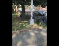 shirtless old man starts fire in park