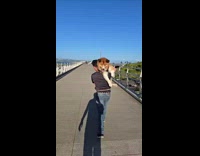 Dog afraid of heights carried at bridge