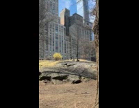 Man lays under tree full of clothes