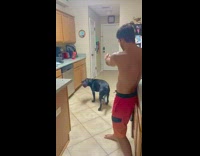 Dog plays dead after getting shot by guy in kitchen