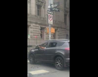 Guy pigeons sit on hand shoulder window 